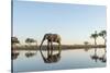 Botswana, Chobe NP, African Elephant at Water Hole in Savuti Marsh-Paul Souders-Stretched Canvas