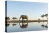 Botswana, Chobe NP, African Elephant at Water Hole in Savuti Marsh-Paul Souders-Stretched Canvas