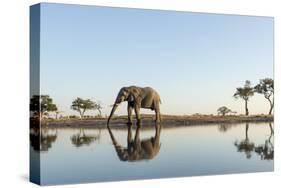 Botswana, Chobe NP, African Elephant at Water Hole in Savuti Marsh-Paul Souders-Stretched Canvas