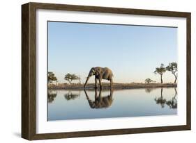 Botswana, Chobe NP, African Elephant at Water Hole in Savuti Marsh-Paul Souders-Framed Photographic Print