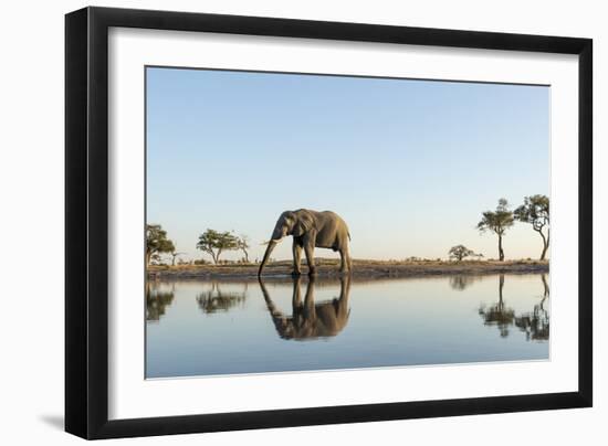 Botswana, Chobe NP, African Elephant at Water Hole in Savuti Marsh-Paul Souders-Framed Photographic Print