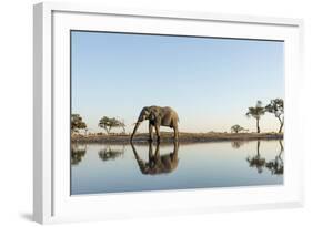 Botswana, Chobe NP, African Elephant at Water Hole in Savuti Marsh-Paul Souders-Framed Photographic Print