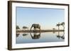 Botswana, Chobe NP, African Elephant at Water Hole in Savuti Marsh-Paul Souders-Framed Photographic Print