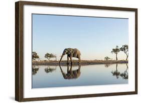 Botswana, Chobe NP, African Elephant at Water Hole in Savuti Marsh-Paul Souders-Framed Photographic Print