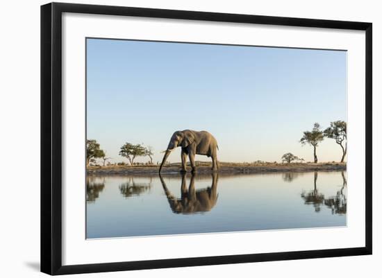 Botswana, Chobe NP, African Elephant at Water Hole in Savuti Marsh-Paul Souders-Framed Photographic Print