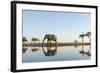 Botswana, Chobe NP, African Elephant at Water Hole in Savuti Marsh-Paul Souders-Framed Photographic Print