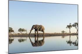 Botswana, Chobe NP, African Elephant at Water Hole in Savuti Marsh-Paul Souders-Mounted Photographic Print