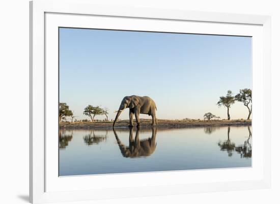 Botswana, Chobe NP, African Elephant at Water Hole in Savuti Marsh-Paul Souders-Framed Photographic Print