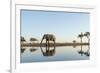 Botswana, Chobe NP, African Elephant at Water Hole in Savuti Marsh-Paul Souders-Framed Photographic Print