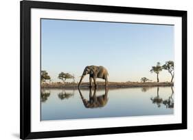 Botswana, Chobe NP, African Elephant at Water Hole in Savuti Marsh-Paul Souders-Framed Photographic Print