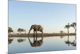 Botswana, Chobe NP, African Elephant at Water Hole in Savuti Marsh-Paul Souders-Mounted Photographic Print