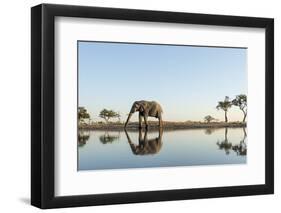 Botswana, Chobe NP, African Elephant at Water Hole in Savuti Marsh-Paul Souders-Framed Premium Photographic Print