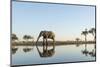 Botswana, Chobe NP, African Elephant at Water Hole in Savuti Marsh-Paul Souders-Mounted Premium Photographic Print