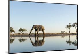 Botswana, Chobe NP, African Elephant at Water Hole in Savuti Marsh-Paul Souders-Mounted Photographic Print