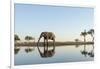 Botswana, Chobe NP, African Elephant at Water Hole in Savuti Marsh-Paul Souders-Framed Photographic Print