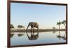 Botswana, Chobe NP, African Elephant at Water Hole in Savuti Marsh-Paul Souders-Framed Photographic Print