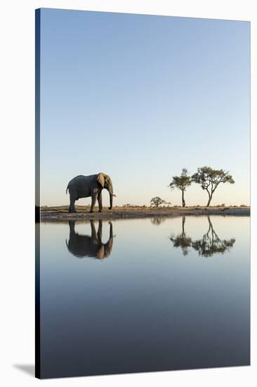Botswana, Chobe NP, African Elephant at Water Hole in Savuti Marsh-Paul Souders-Stretched Canvas