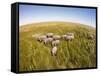 Botswana, Chobe NP, Elephants Walking Savuti Marsh's in Okavango Delta-Paul Souders-Framed Stretched Canvas