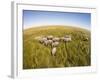 Botswana, Chobe NP, Elephants Walking Savuti Marsh's in Okavango Delta-Paul Souders-Framed Photographic Print