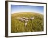 Botswana, Chobe NP, Elephants Walking Savuti Marsh's in Okavango Delta-Paul Souders-Framed Photographic Print