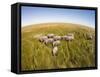 Botswana, Chobe NP, Elephants Walking Savuti Marsh's in Okavango Delta-Paul Souders-Framed Stretched Canvas