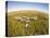 Botswana, Chobe NP, Elephants Walking Savuti Marsh's in Okavango Delta-Paul Souders-Stretched Canvas