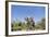 Botswana, Chobe NP, Herd of African Elephants Walking in Mopane Forest-Paul Souders-Framed Photographic Print