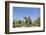 Botswana, Chobe NP, Herd of African Elephants Walking in Mopane Forest-Paul Souders-Framed Photographic Print