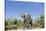 Botswana, Chobe NP, Herd of African Elephants Walking in Mopane Forest-Paul Souders-Stretched Canvas