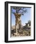 Botswana, Chobe NP, Lion Cub Approaching Remote Camera in Savuti Marsh-Paul Souders-Framed Photographic Print