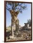 Botswana, Chobe NP, Lion Cub Approaching Remote Camera in Savuti Marsh-Paul Souders-Framed Photographic Print