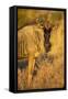 Botswana, Chobe NP, Wildebeest Standing in Savuti Marsh at Dawn-Paul Souders-Framed Stretched Canvas