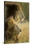 Botswana, Moremi Game Reserve, Lions in Morning Sun in Okavango Delta-Paul Souders-Stretched Canvas