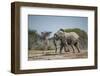 Botswana, Nxai Pan NP, African Elephant Running in Kalahari Desert-Paul Souders-Framed Photographic Print