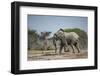 Botswana, Nxai Pan NP, African Elephant Running in Kalahari Desert-Paul Souders-Framed Photographic Print