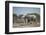 Botswana, Nxai Pan NP, African Elephant Running in Kalahari Desert-Paul Souders-Framed Photographic Print