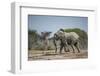 Botswana, Nxai Pan NP, African Elephant Running in Kalahari Desert-Paul Souders-Framed Photographic Print