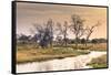 Botswana. Okavango Delta. Khwai Concession. a Small Stream at Sunrise-Inger Hogstrom-Framed Stretched Canvas