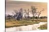 Botswana. Okavango Delta. Khwai Concession. a Small Stream at Sunrise-Inger Hogstrom-Stretched Canvas