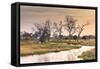 Botswana. Okavango Delta. Khwai Concession. a Small Stream at Sunrise-Inger Hogstrom-Framed Stretched Canvas