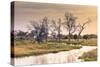 Botswana. Okavango Delta. Khwai Concession. a Small Stream at Sunrise-Inger Hogstrom-Stretched Canvas