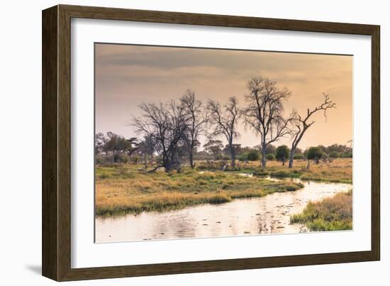 Botswana. Okavango Delta. Khwai Concession. a Small Stream at Sunrise-Inger Hogstrom-Framed Photographic Print