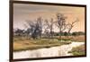 Botswana. Okavango Delta. Khwai Concession. a Small Stream at Sunrise-Inger Hogstrom-Framed Photographic Print