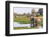 Botswana. Okavango Delta. Khwai Concession. Elephant Drinking-Inger Hogstrom-Framed Photographic Print