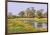 Botswana. Okavango Delta. Khwai Concession. Riparian Forest-Inger Hogstrom-Framed Photographic Print