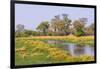 Botswana. Okavango Delta. Khwai Concession. Riparian Forest-Inger Hogstrom-Framed Photographic Print