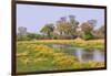 Botswana. Okavango Delta. Khwai Concession. Riparian Forest-Inger Hogstrom-Framed Premium Photographic Print