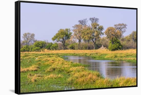 Botswana. Okavango Delta. Khwai Concession. Riparian Forest-Inger Hogstrom-Framed Stretched Canvas