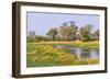 Botswana. Okavango Delta. Khwai Concession. Riparian Forest-Inger Hogstrom-Framed Photographic Print