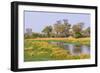 Botswana. Okavango Delta. Khwai Concession. Riparian Forest-Inger Hogstrom-Framed Photographic Print